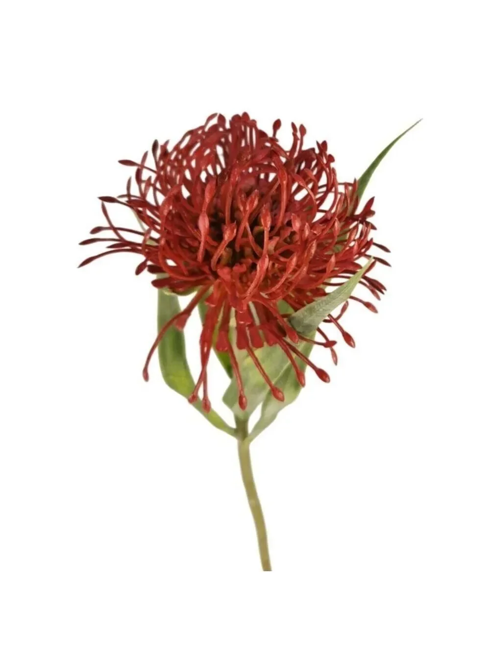 Artificial Red Pincushion Protea Stem | Faux Leucospermum Flower | Tropical Flor